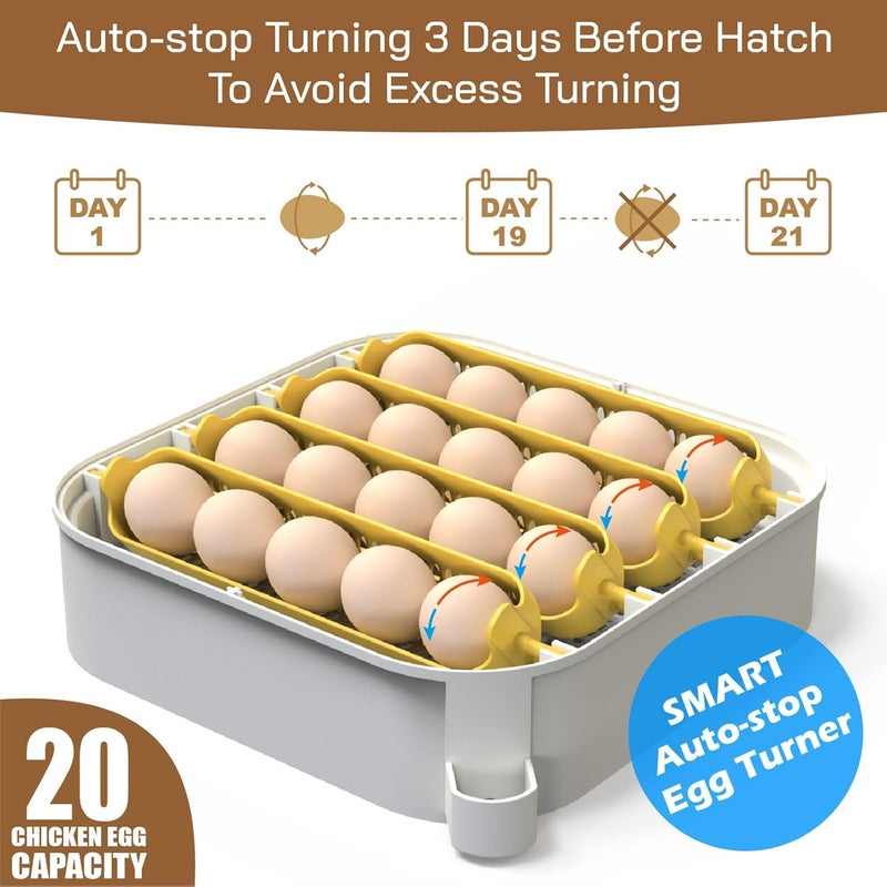 MATICOOPX 20 Egg Incubator with Humidity Display, Egg Candler, Automatic Egg Turner, for Hatching Chickens - Image 5